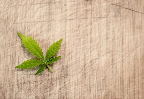 Les solutions pour obtenir des produits à base de CBD